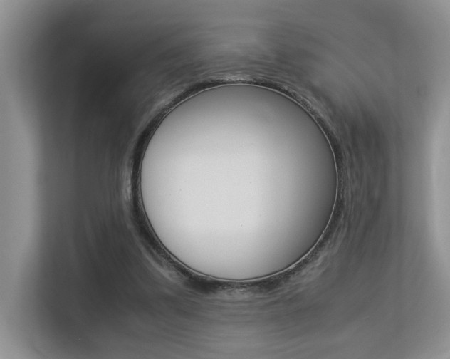 X0000113250299200909100948