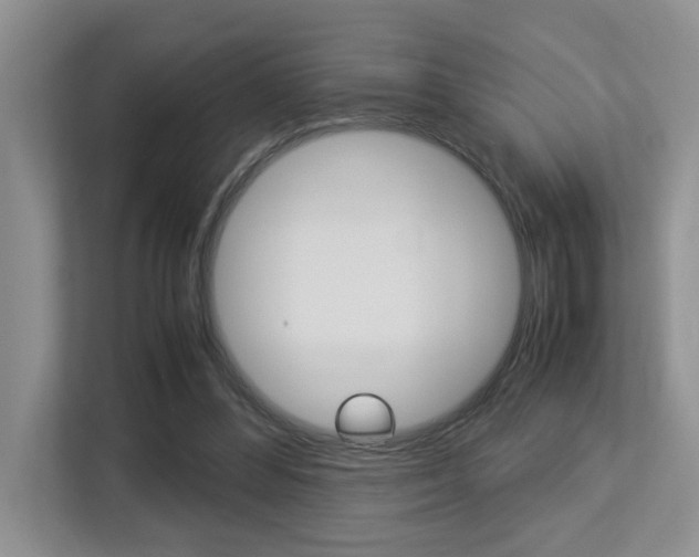 X0000113250300200909100948