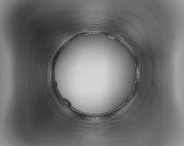 X0000113250301200909100948