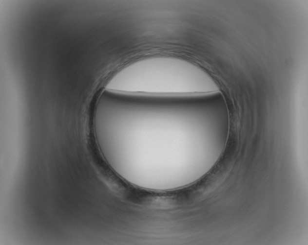 X0000113250303200909100948