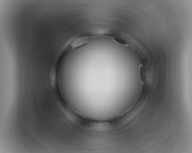 X0000113250304200909100948
