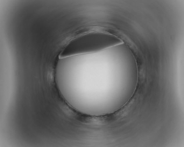X0000113250305200909100948