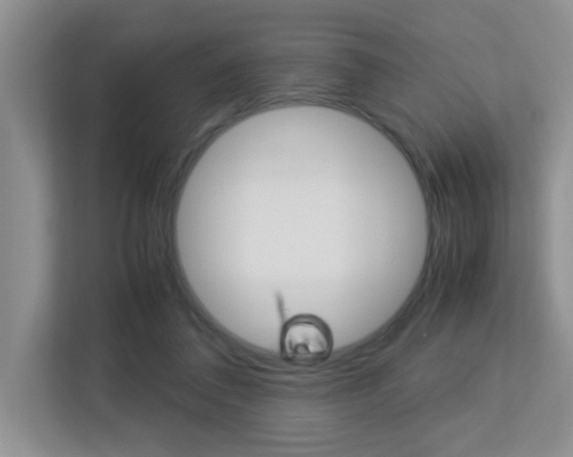 X0000113250308200909100948