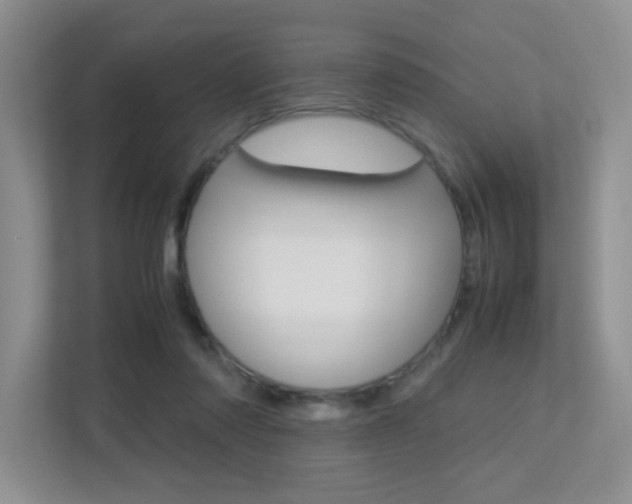 X0000113250310200909100948