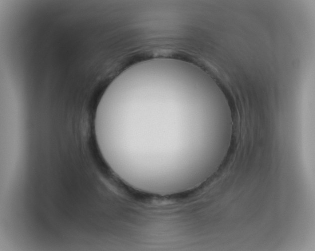 X0000113250311200909100948