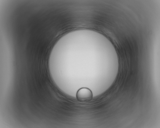 X0000113250312200909100948