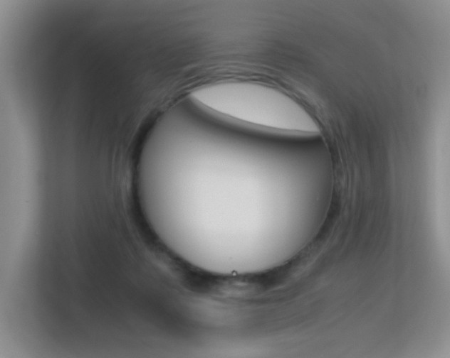 X0000113250315200909100948