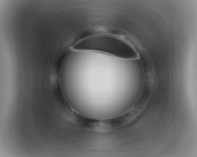 X0000113250320200909100948