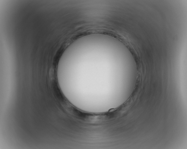 X0000113250323200909100948
