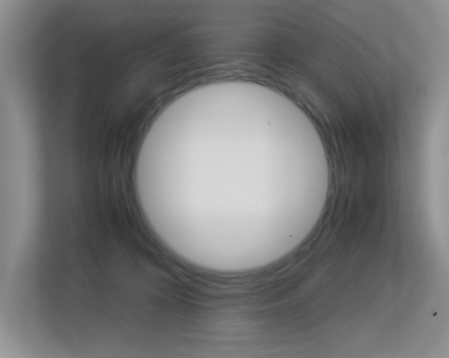 X0000113250324200909100948