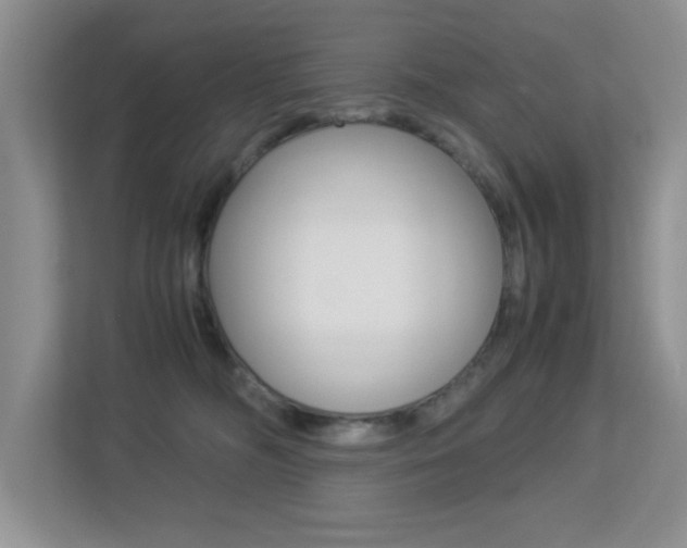 X0000113250326200909100948