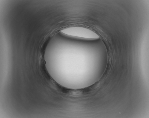 X0000113250327200909100948