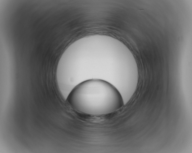 X0000113250328200909100948