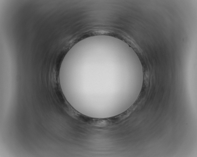X0000113250330200909100948