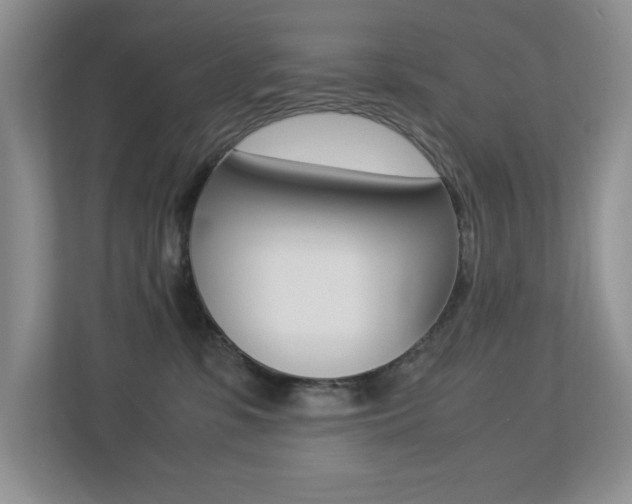 X0000113250331200909100948