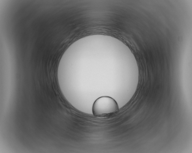 X0000113250332200909100948