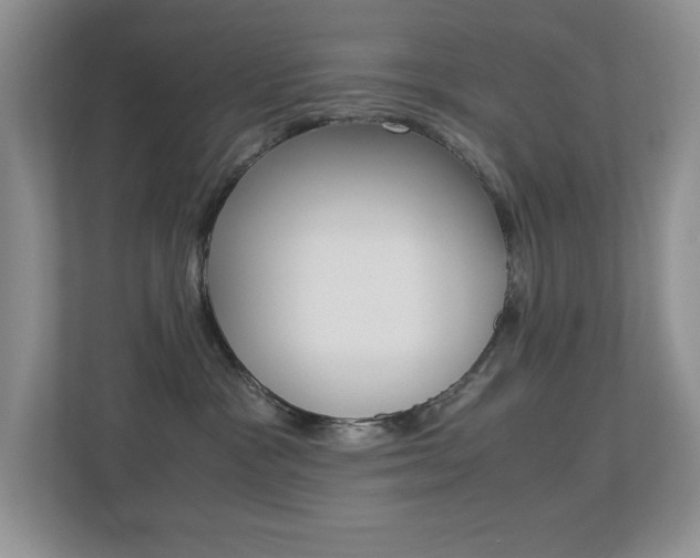 X0000113250333200909100948
