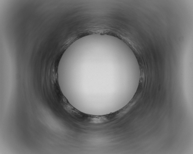 X0000113250334200909100948