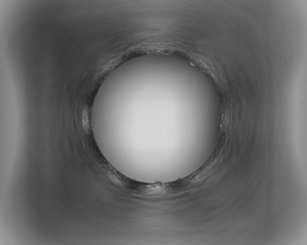 X0000113250335200909100948