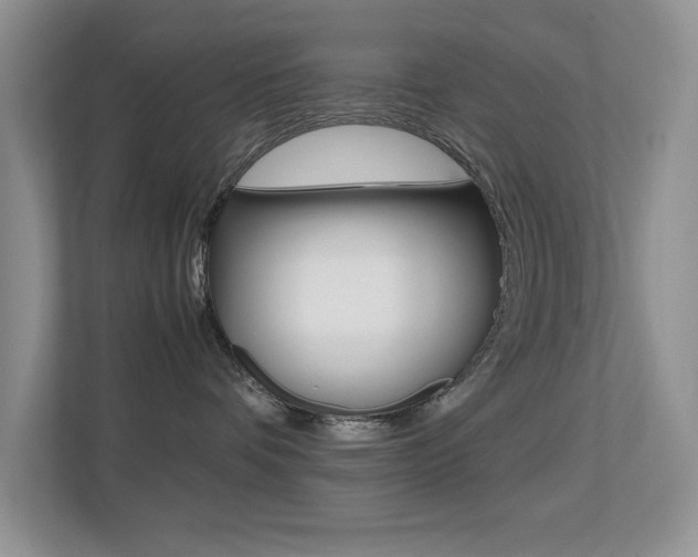 X0000113250336200909100948