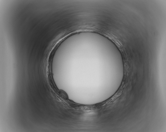X0000113250338200909100947