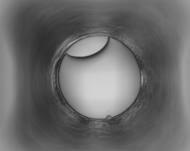 X0000113250339200909100947