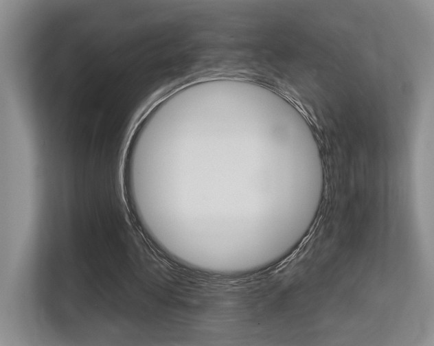 X0000113250340200909100947