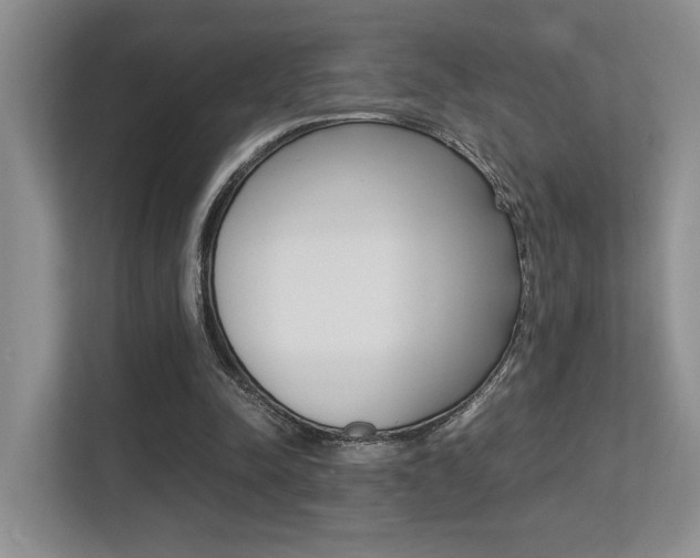 X0000113250342200909100947