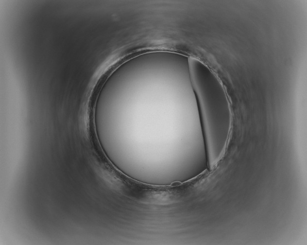 X0000113250344200909100947