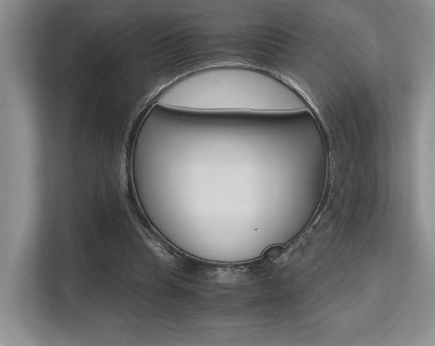 X0000113250345200909100947