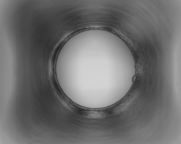 X0000113250347200909100947