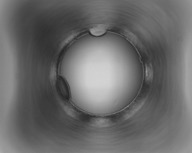 X0000113250348200909100947