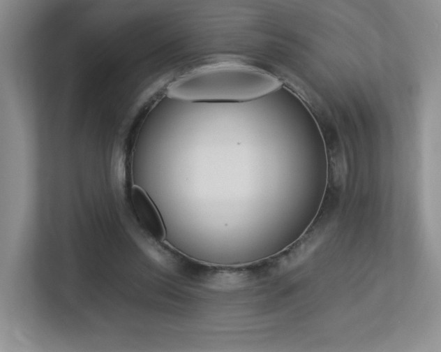 X0000113250350200909100947