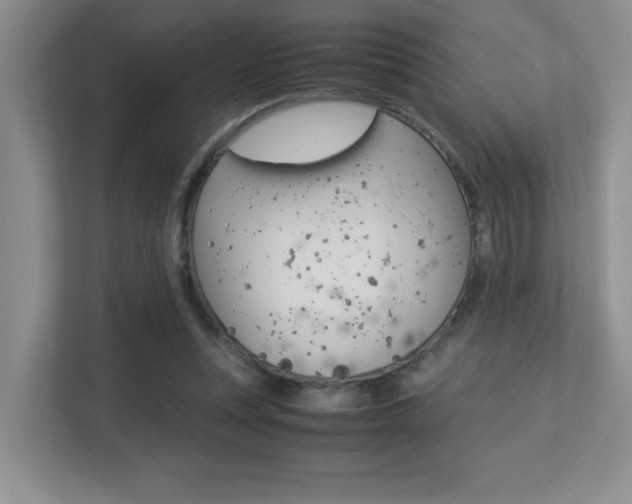 X0000113250351200909100947