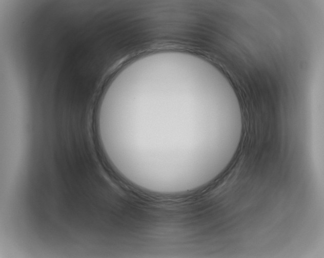 X0000113250352200909100947