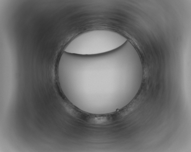 X0000113250353200909100947