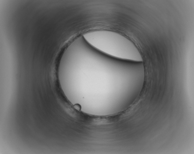 X0000113250354200909100947