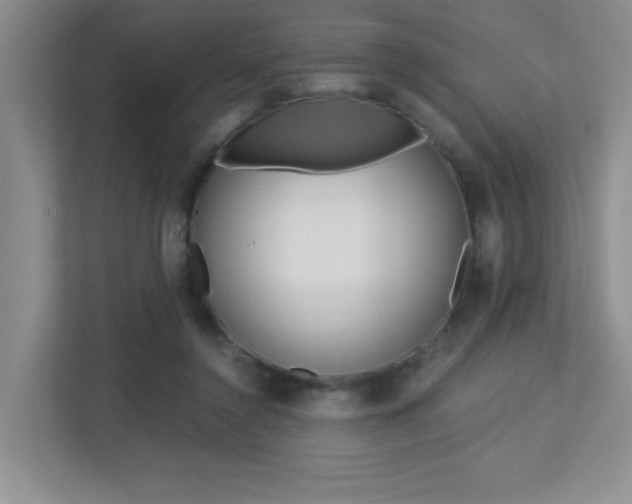 X0000113250356200909100947