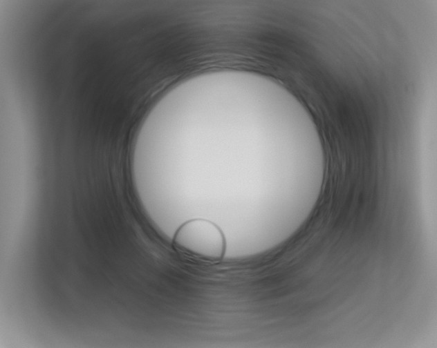 X0000113250360200909100947