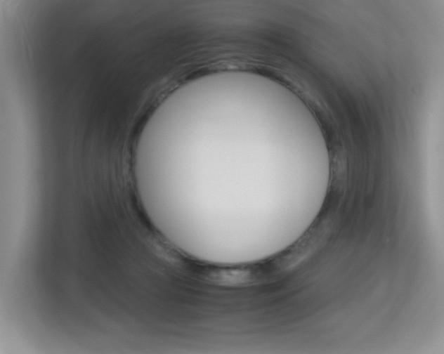 X0000113250361200909100947