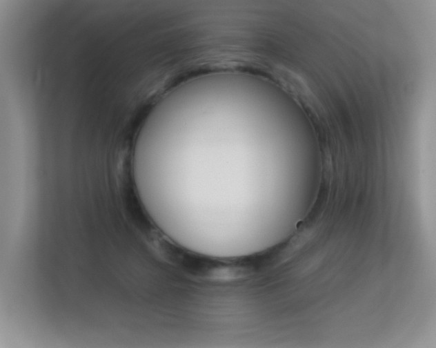 X0000113250364200909100947