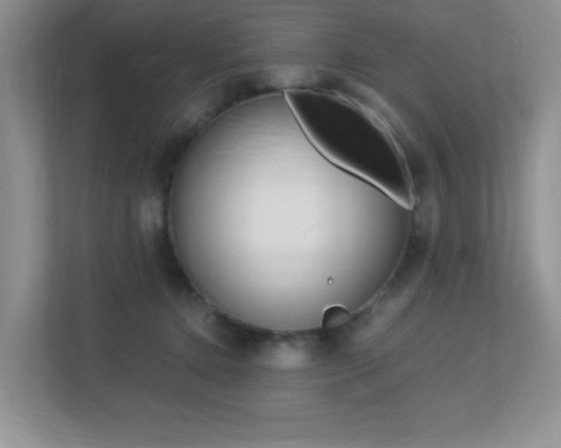X0000113250368200909100947
