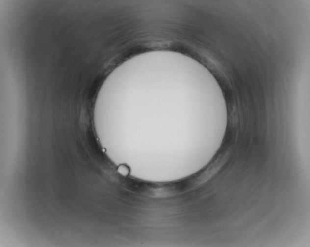 X0000113250370200909100947