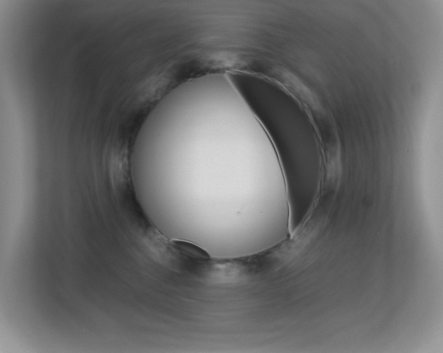 X0000113250376200909100947