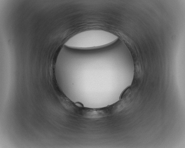 X0000113250379200909100947