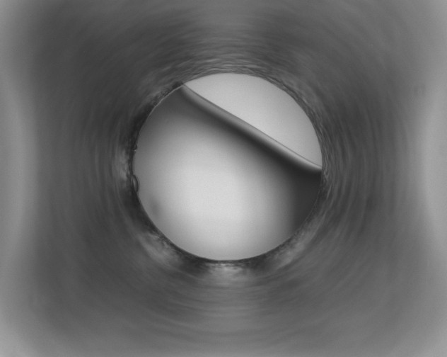 X0000113250380200909100947