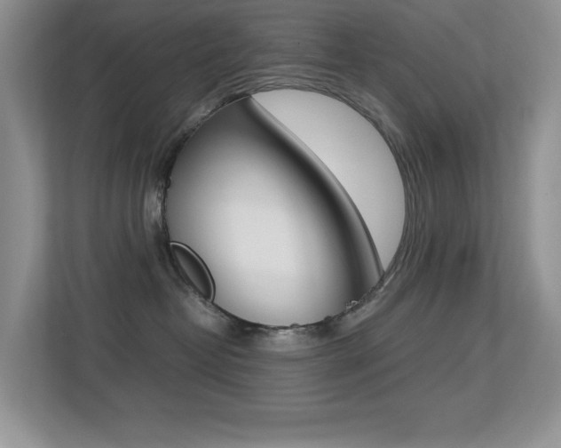 X0000113250382200909100948
