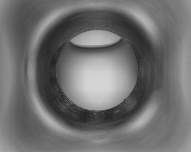X0000113250383200909100948
