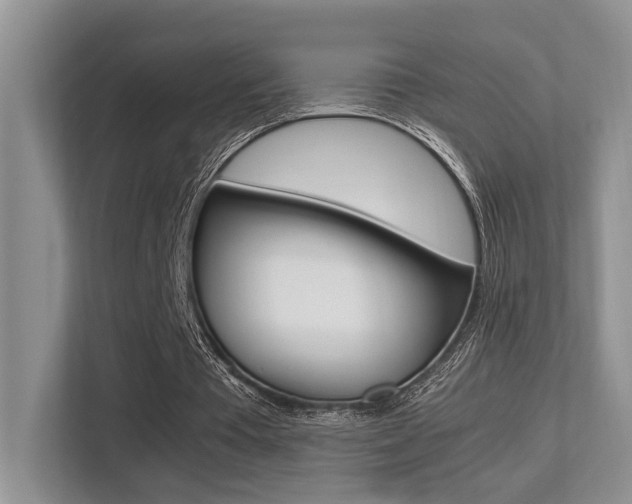 X0000113250385200909100947