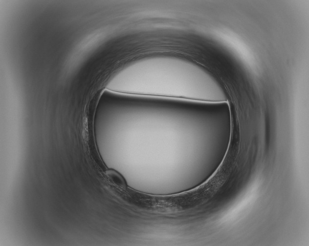 X0000113250387200909100947